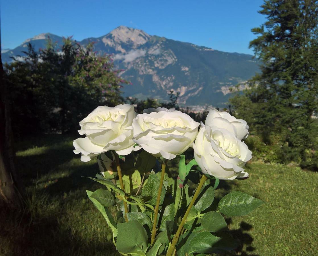 B&B White Rose Civezzano Exterior foto